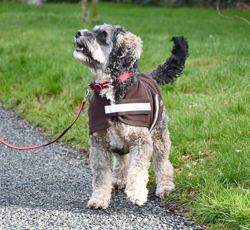 Picture of Rhinegold Dog Fleece Dog Coat,  12 Sizes,  2 Colours