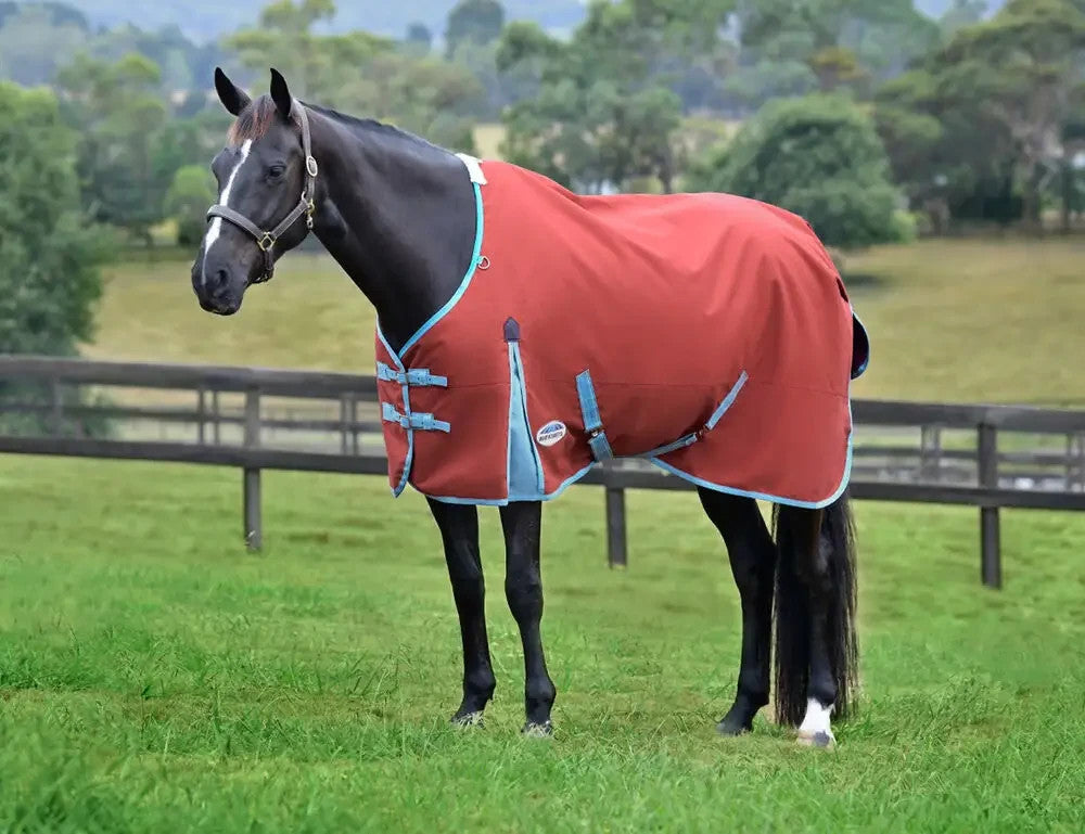 Picture of Weatherbeeta Comfitec Essential 50g Horse Turnout Rug Std Neck, Lite Plus, 1200D