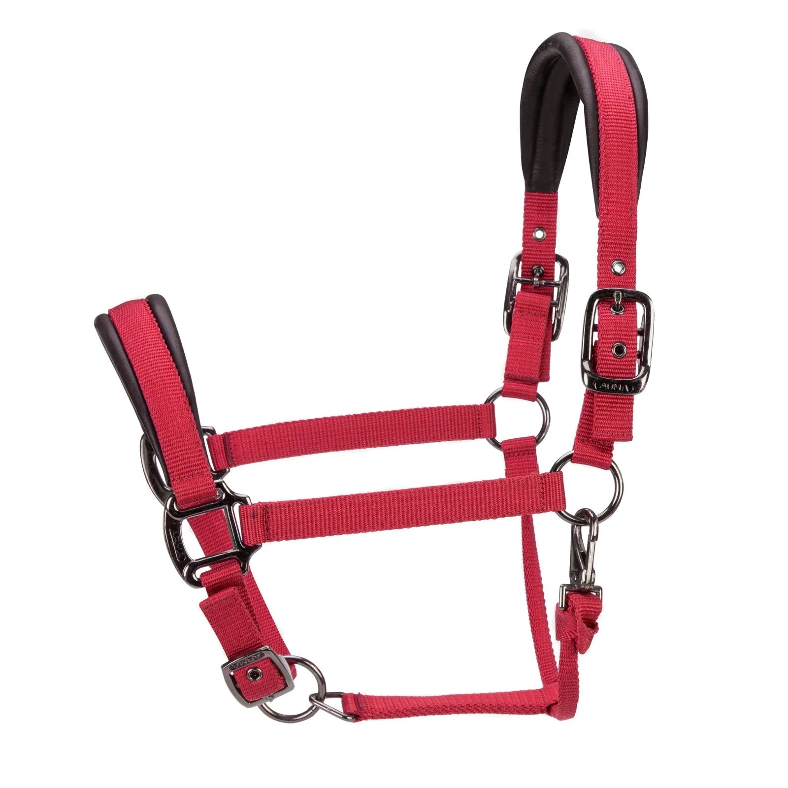 Picture of Shires ARMA Pro Padded Headcollar, 10 Colours, 4 Sizes