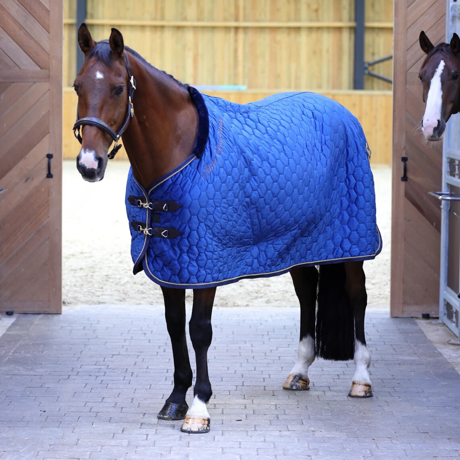 Picture of Shires Deluxe Quilted Show Rug, Navy, 5'6"-7'0"