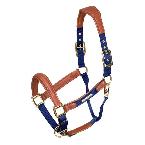 Picture of Shires Velociti Lusso Padded Leather Headcollar,  5 Colours, 3 Sizes
