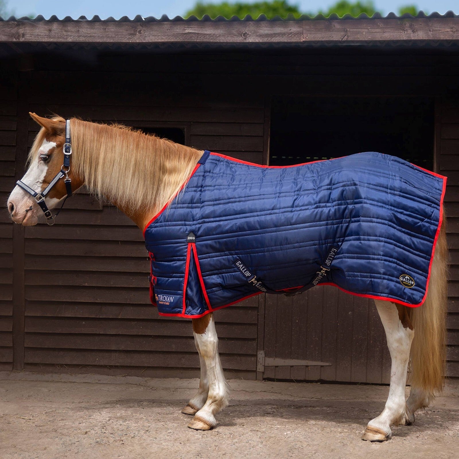 Picture of Gallop Trojan 200g Indoor Stable Rug Standard Neck In Navy/Red