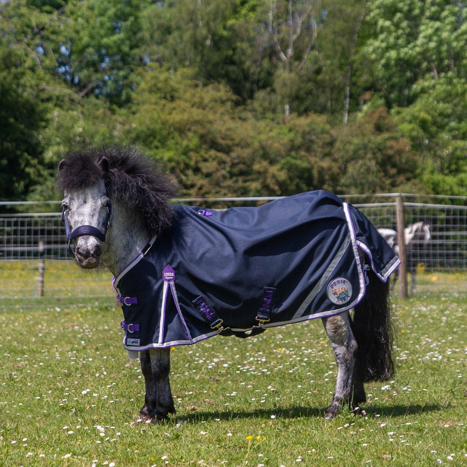 Picture of Gallop Ponie Xtra Duraproof 0G Lightweight 1000 Denier Horse Turnout Rug