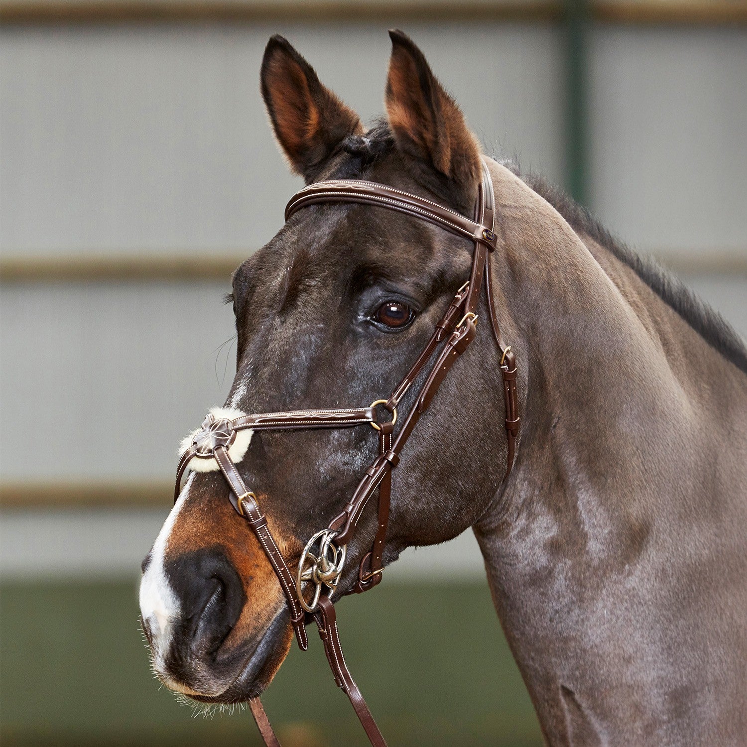 Picture of Whitaker Valencia Super Deluxe Mexican/Grackle Bridle with Reins, 2 Colours