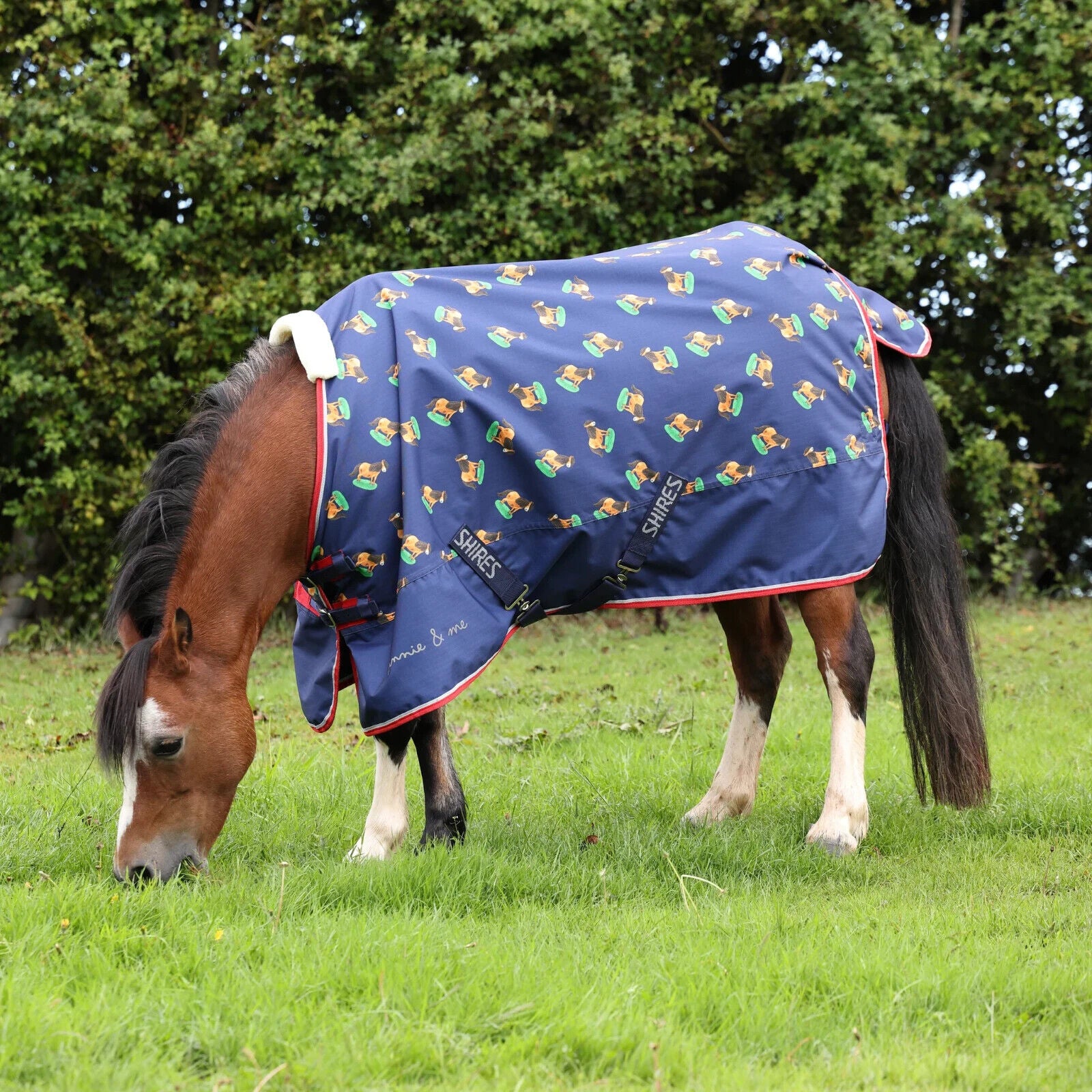 Picture of Shires Winnie & Me 0g Pony Turnout Rug, Lightweight, 600 Denier, 3'6" - 5'3",