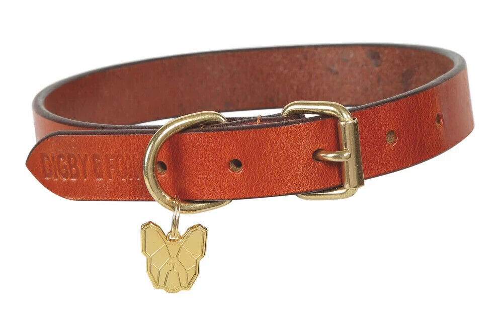 Picture of Shires Digby & Fox Flat Leather Dog Collar, 8 Sizes, 3 Colours