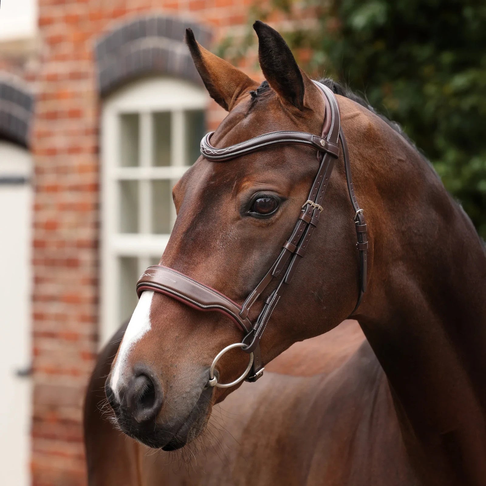 Picture of Shires Velociti LUSSO Opus 180M Dressage Cavesson Bridle, Black / Havana 4 Sizes