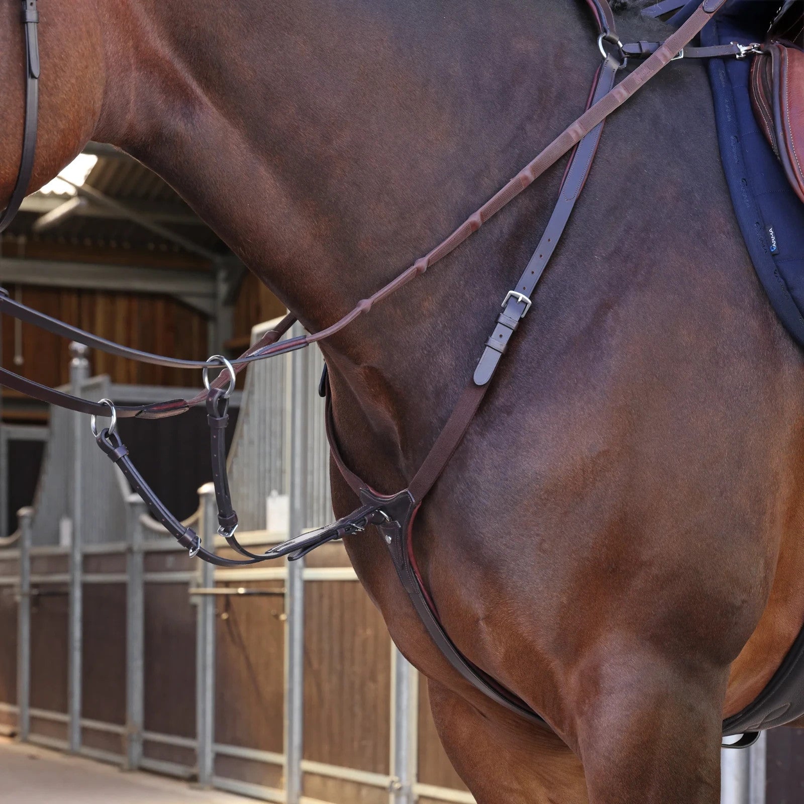 Picture of Shires Velociti LUSSO Elite Breastplate, Black / Havana, 4 Sizes
