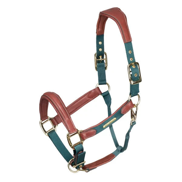 Picture of Shires Velociti Lusso Padded Leather Headcollar,  5 Colours, 3 Sizes