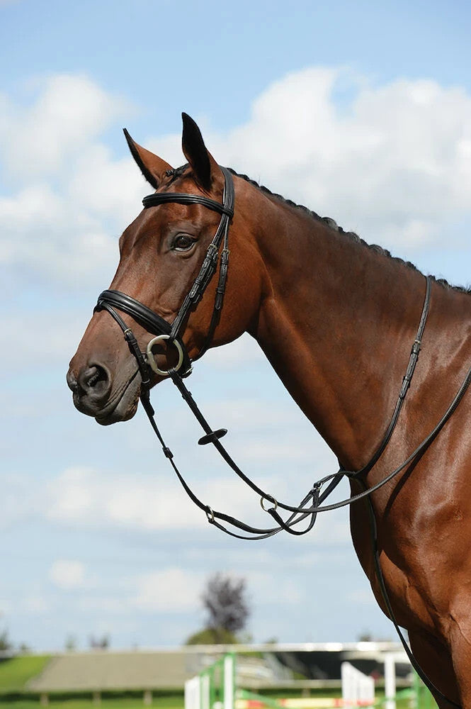 Picture of Collegiate Syntovia+ Plain Flat Running Martingale, Black or Brown, 4 Sizes.
