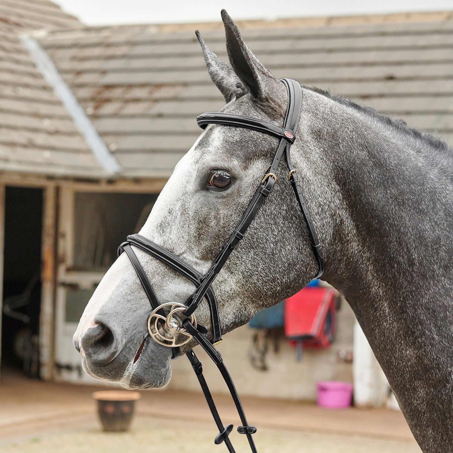 Picture of Whitaker Valencia Super Deluxe Flash Snaffle Bridle with Reins , 2 Colours