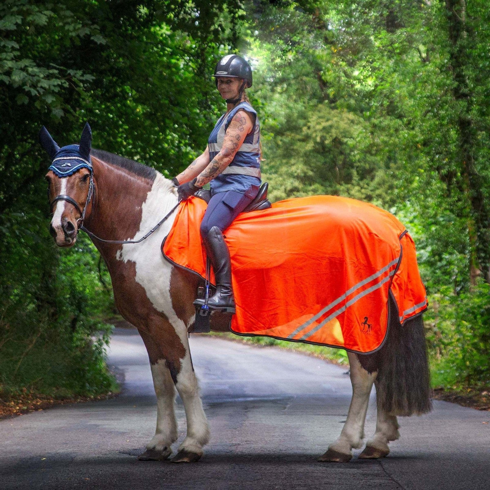 Picture of Gallop TROJAN/PONIE Retro Reflective Mesh Exercise Sheet, Orange or Yellow