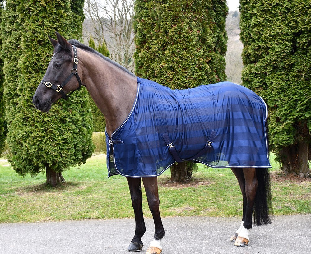 Picture of Rhinegold Sweat Sheet, Horse/Pony Rug,