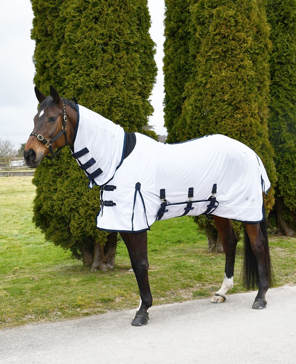 Picture of Rhinegold Africa Fly Horse Rug, Full Neck Combo, Belly Guard.