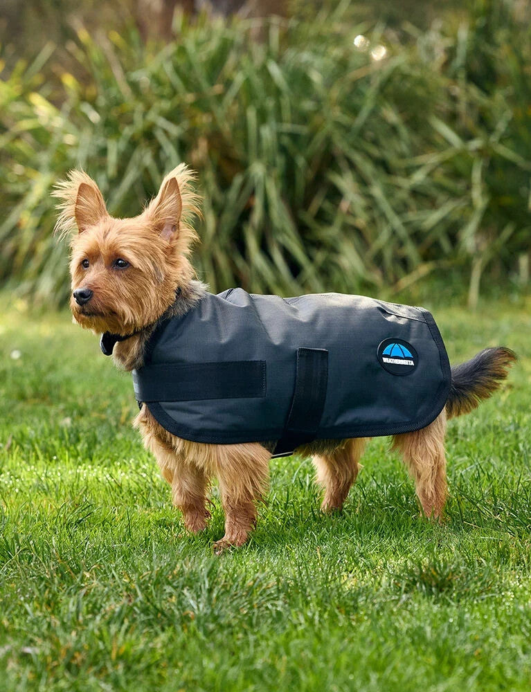 Picture of Weatherbeeta Comfitec Classic Waterproof Dog Coat, 3 Colours, 11 Sizes.