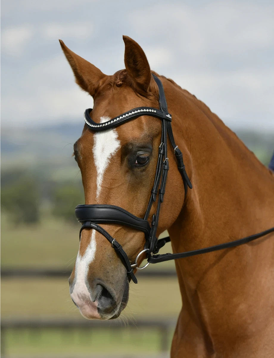 Picture of Collegiate Comfitec Opulux Padded Dressage Bridle, Black, 3 Sizes.