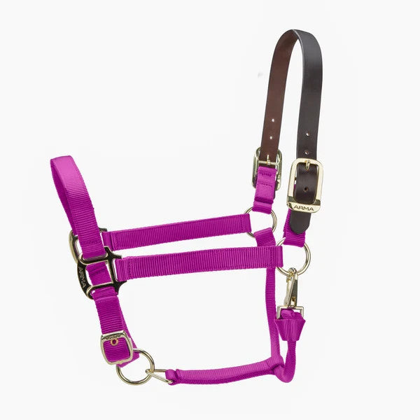 Picture of Shires ARMA Premium Adjustable FieldSafe Headcollar, 10 Colours, 4 Sizes