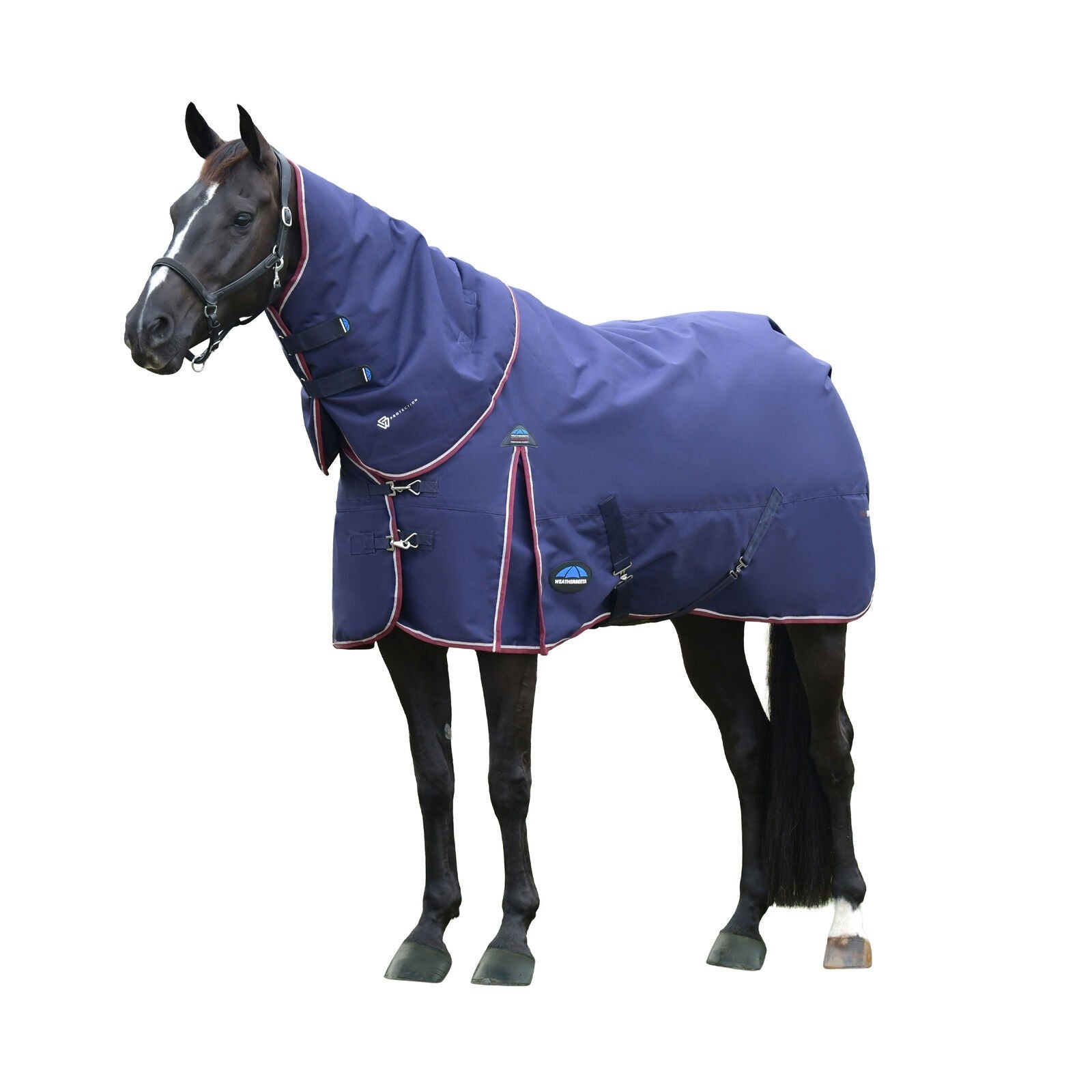 Picture of WEATHERBEETA COMFITEC ESSENTIAL 50g HORSE TURNOUT RUG, DETACH-A-NECK