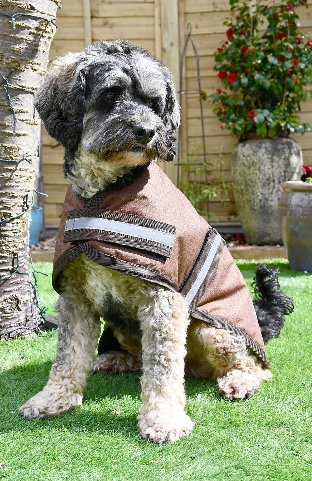 Picture of Rhinegold Waterproof Dog Coat, Outdoor, 12 Sizes,  2 Colours
