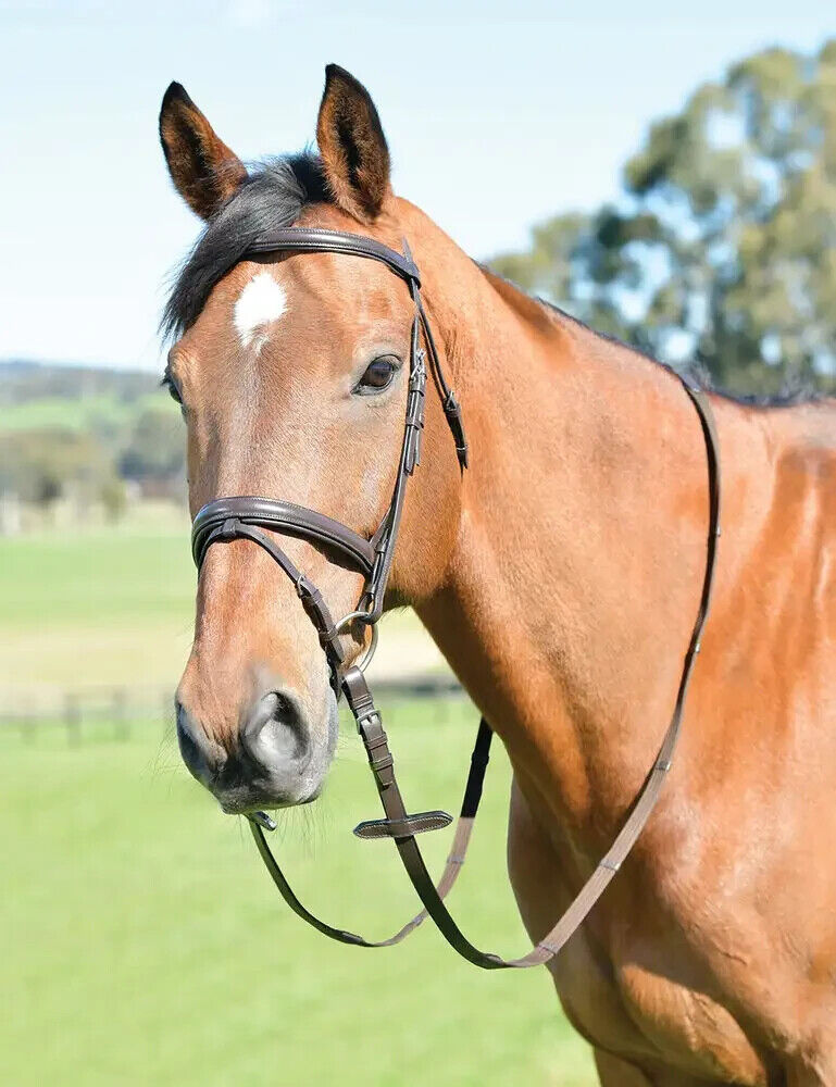 Picture of Kincade Classic Plain Raised Flash Bridle With Reins, Leather, Black or Havana