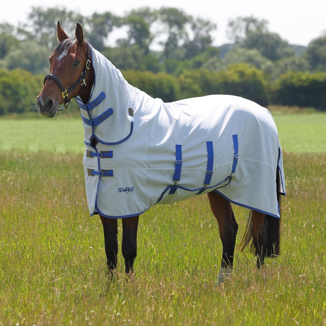 Picture of Shires Tempest Plus Sweet-Itch Combo Fly/Bug Rug, Summer Turnout Horse Rug