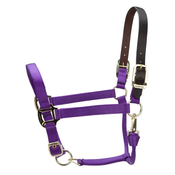 Picture of Shires ARMA Premium Adjustable FieldSafe Headcollar, 10 Colours, 4 Sizes