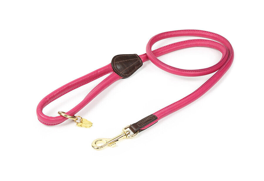Picture of Digby and Fox Rolled Leather Dog Lead   in   Various Colours
