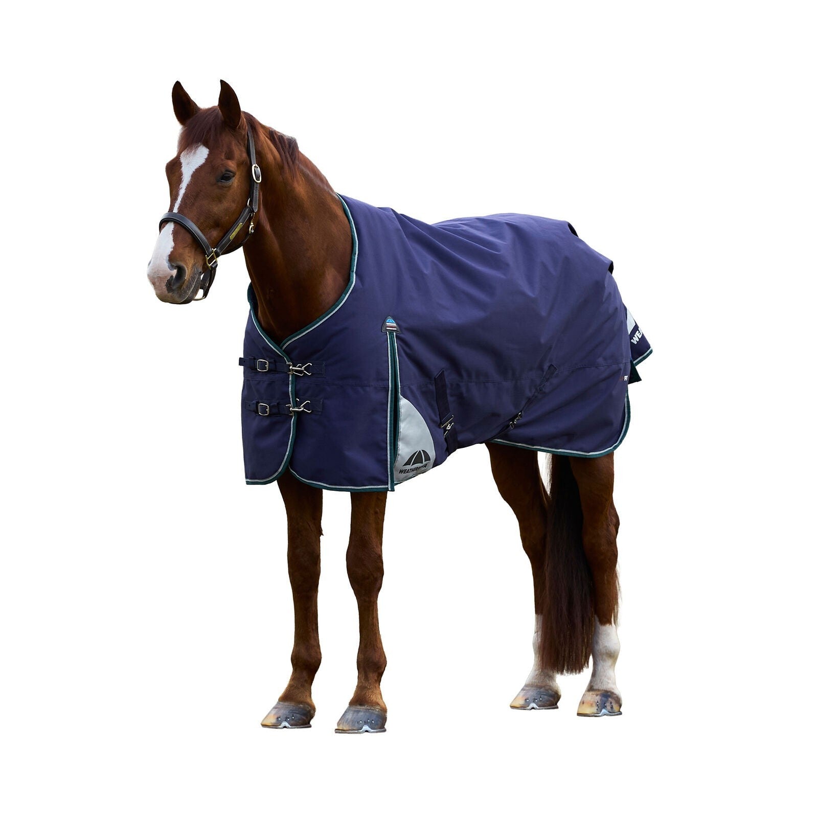 Picture of WEATHERBEETA COMFITEC PLUS DYNAMIC 0g HORSE TURNOUT RUG, STANDARD NECK, LIGHT