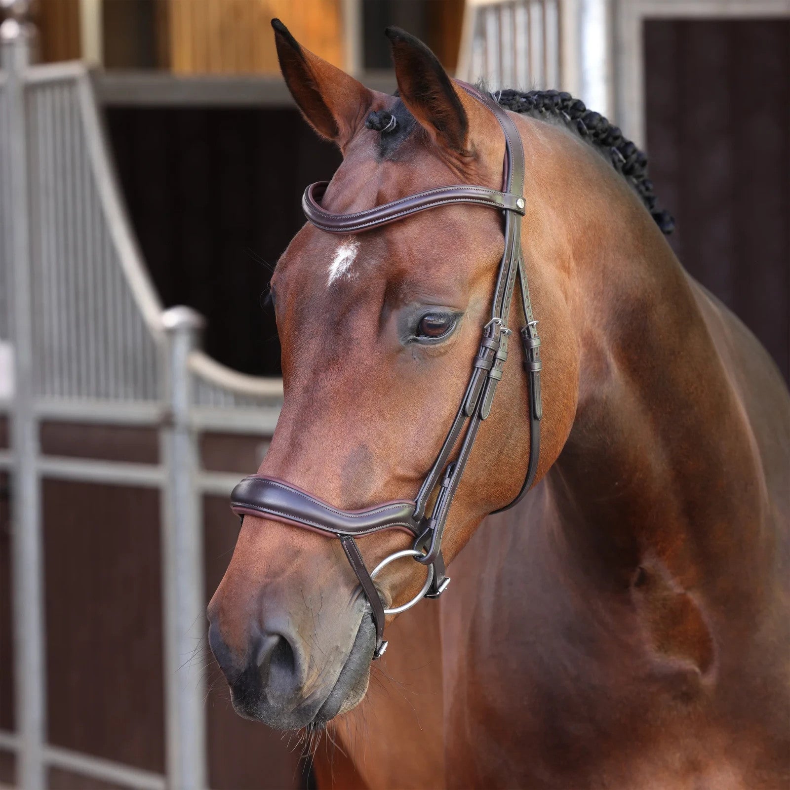 Picture of Shires Velociti LUSSO Elite Ergonomic Flash Bridle, Black / Havana, 4 Sizes