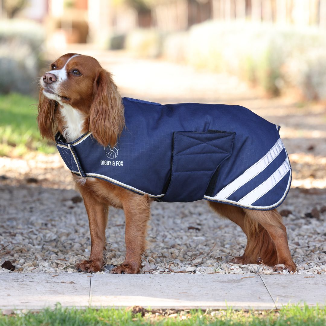 Picture of Digby & Fox Lite Waterproof Dog Coat, Navy, 9 Sizes