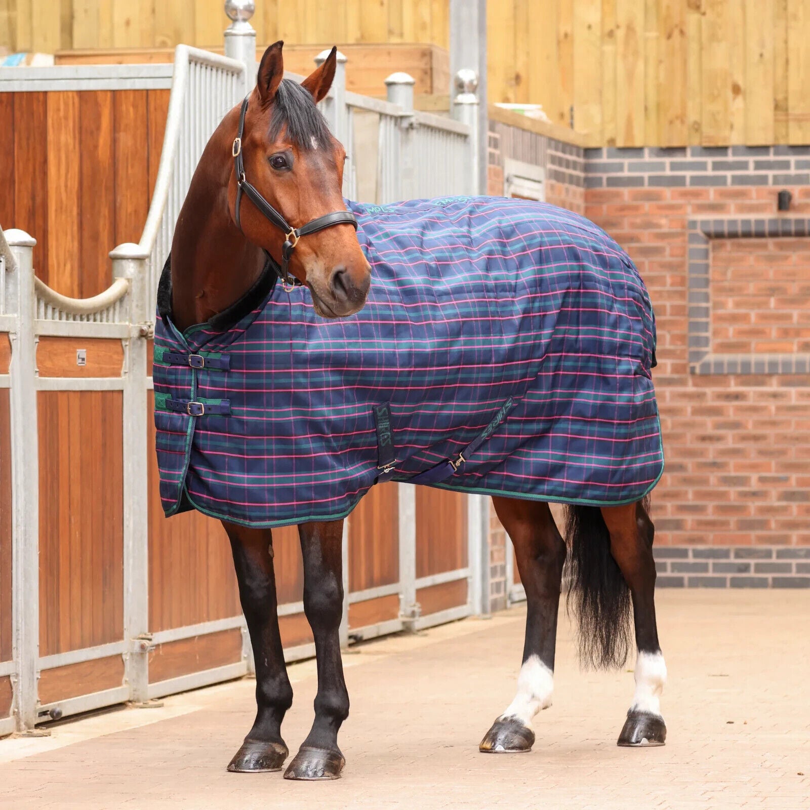 Picture of Shires Tempest Plus 100G Lightweight Std Neck Horse Stable Rug | 5'0"-7'3"