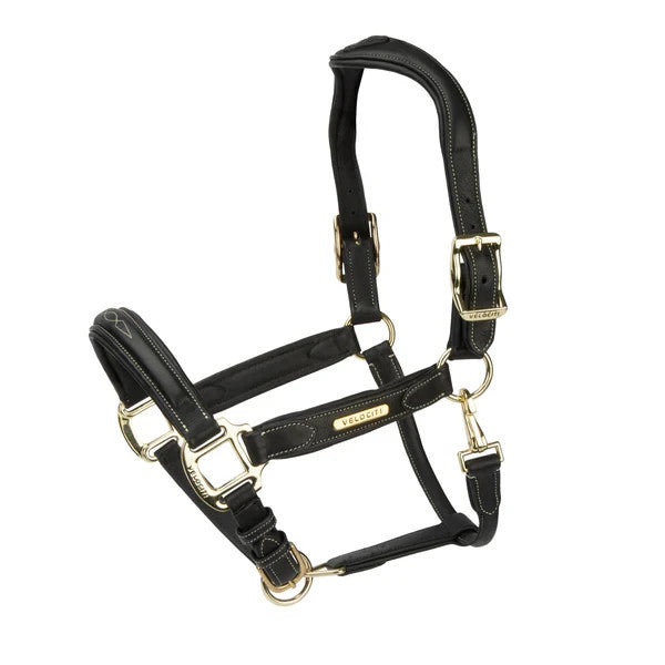 Picture of ShiresVelociti RAPIDA Comfort Leather Headcollar,  Black or Havana, 3 Sizes