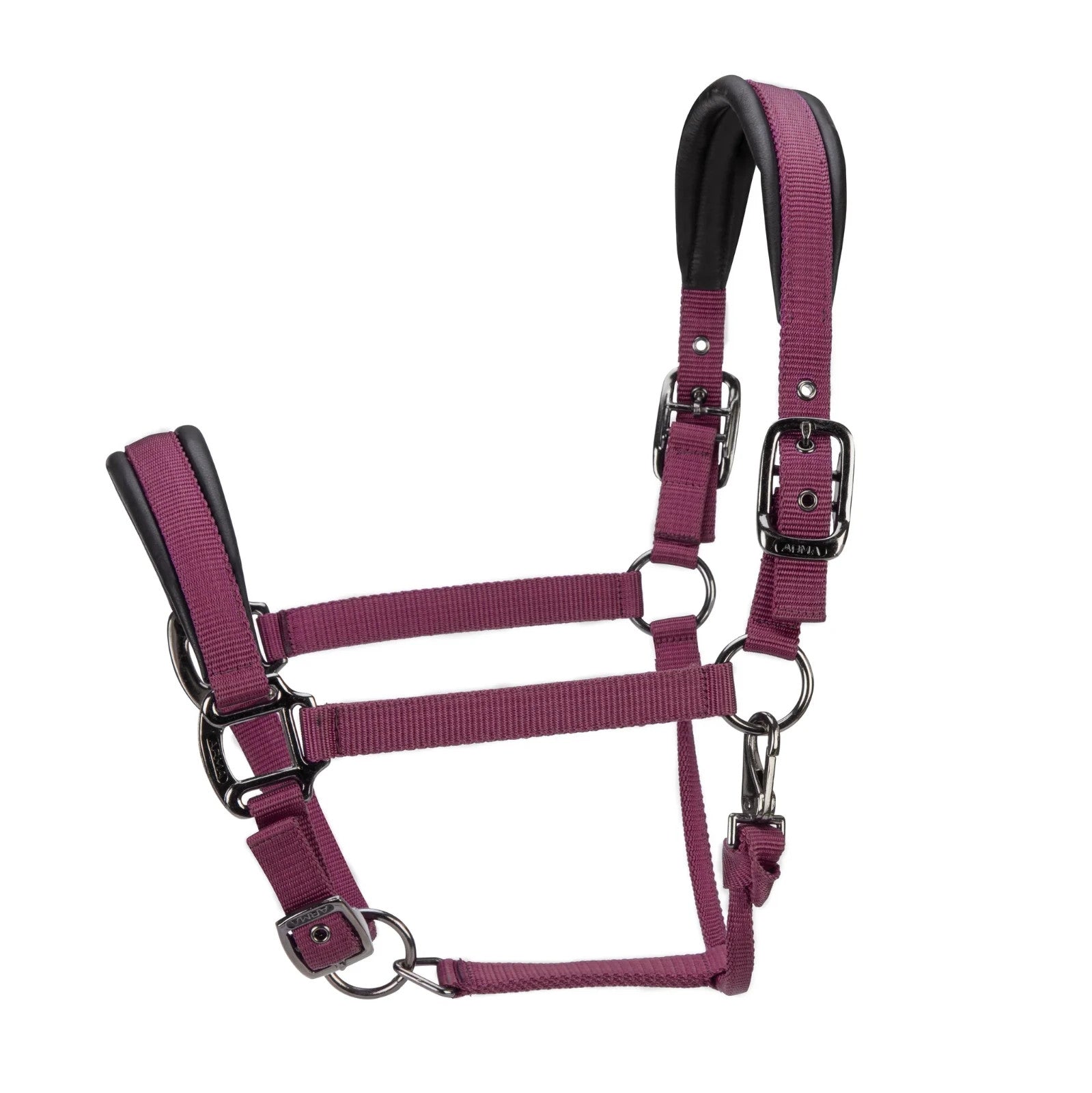 Picture of Shires ARMA Pro Padded Headcollar, 10 Colours, 4 Sizes
