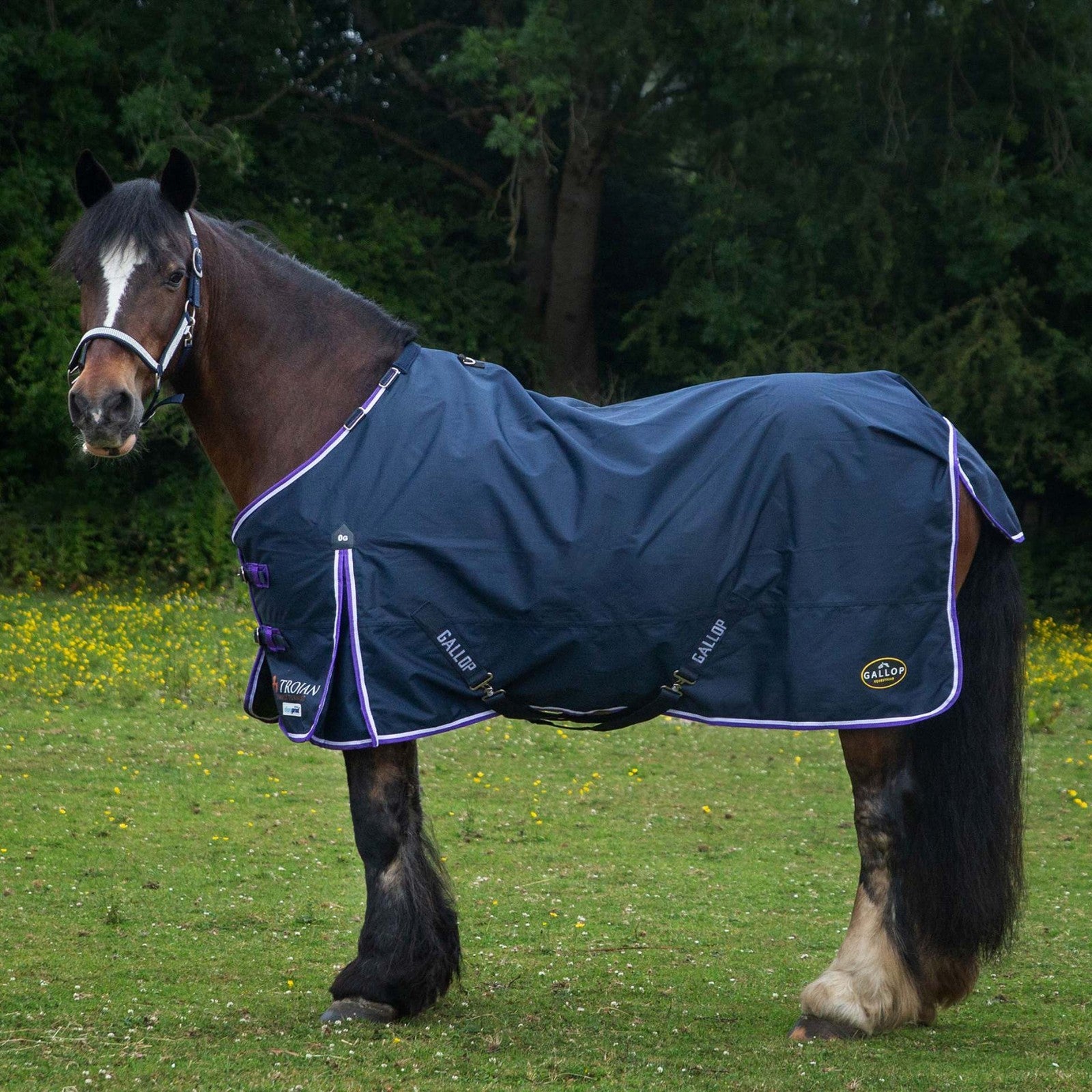 Picture of Gallop TROJAN/PONIE Duraproof Lightweight 0g Turnout, Std Neck Lightweight Rug