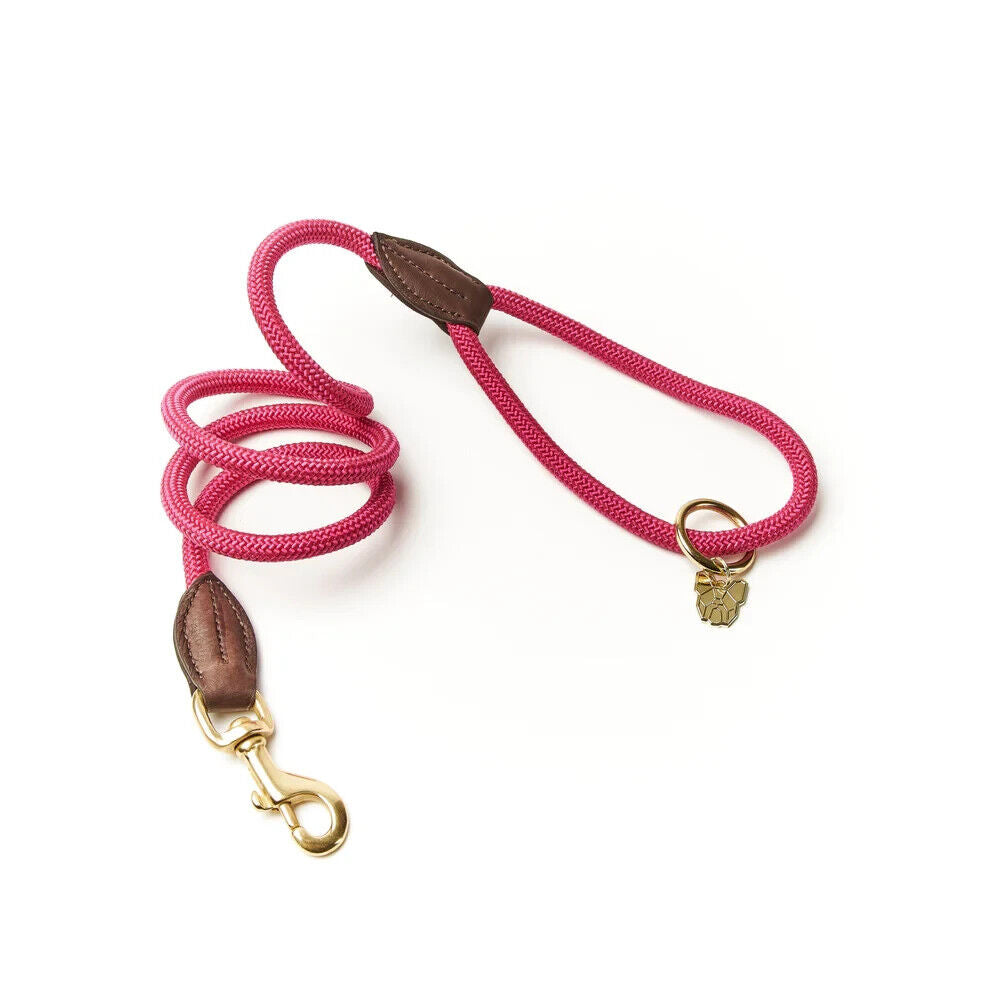 Picture of Digby and Fox Fine Rope Dog Lead, 6  Colours