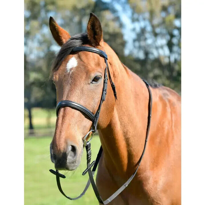 Picture of Kincade Classic Plain Raised Cavesson Bridle With Reins, Leather, Black, Havana