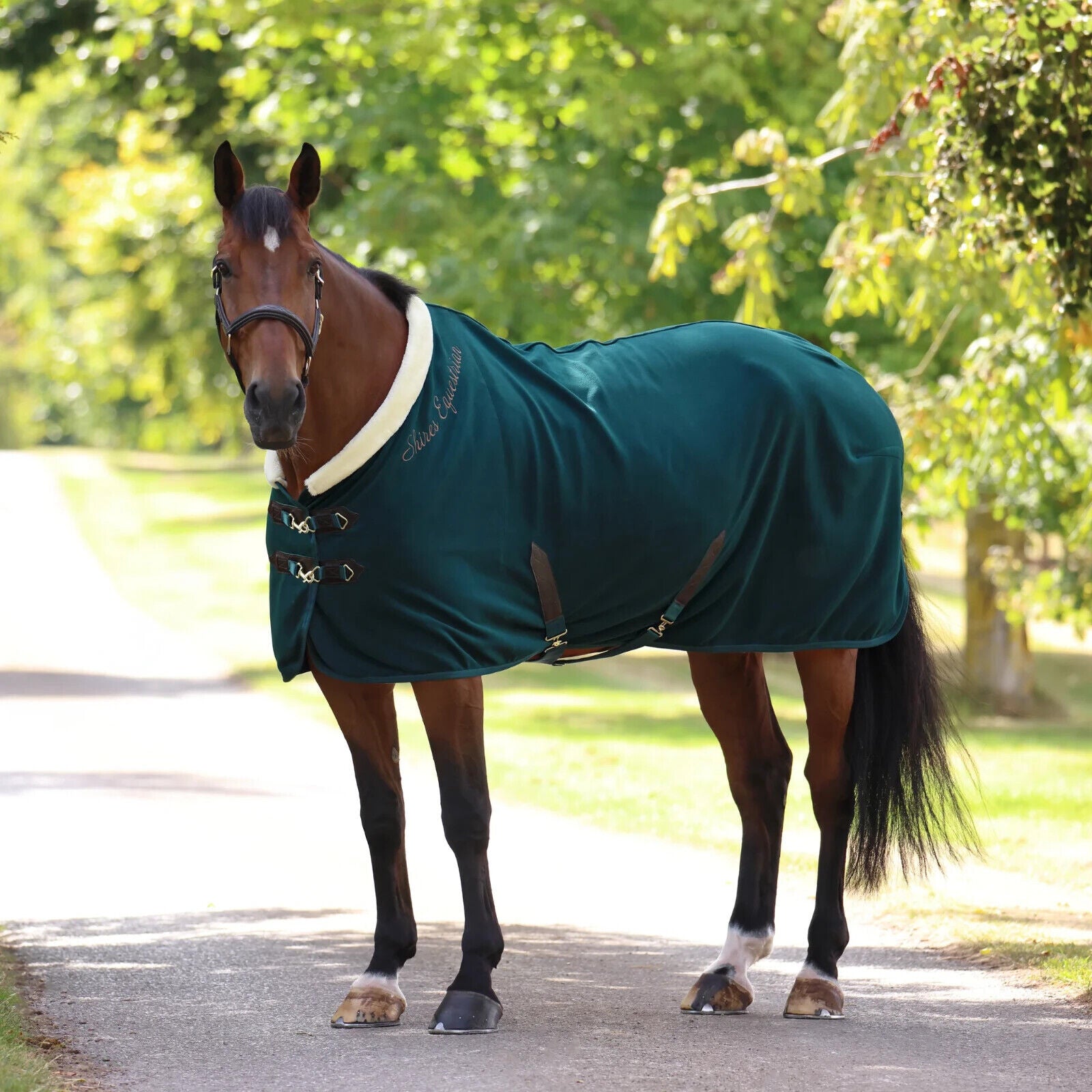 Picture of Shires Deluxe Fleece Rug, Horse Travel Rug, 3 Colours,  5'6" - 7'3"