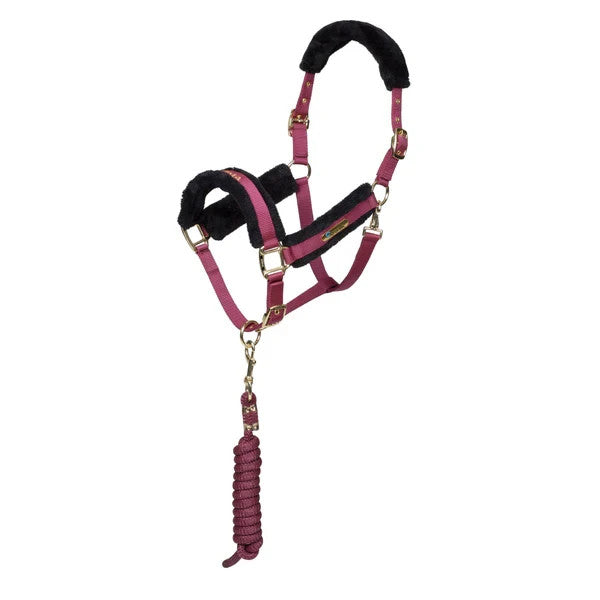 Picture of Shires ARMA Logo Headcollar & Lead Rope, 4 Colours, 4 Sizes