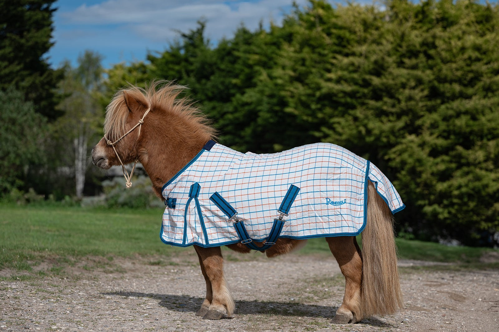 Picture of Rhinegold Mini Maui Summer Sheet, Std Neck, 3'6"-4'3"