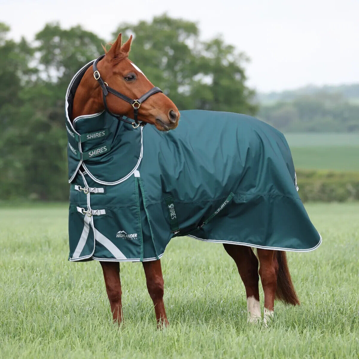 Picture of Shires Highlander Original Heavyweight 300g Horse Turnout Rug & Neck Set