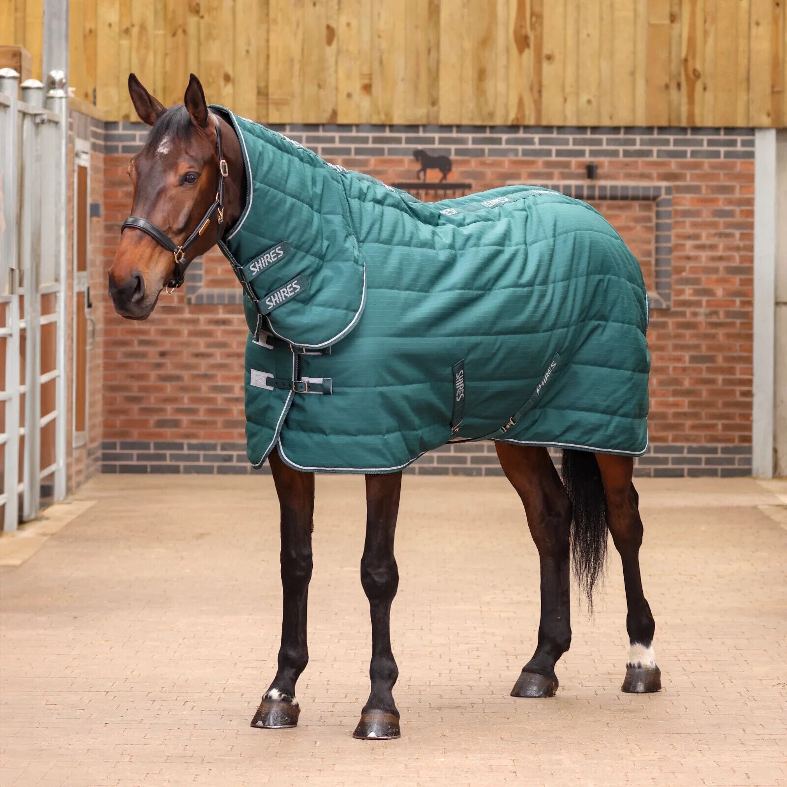 Picture of Shires Tempest Original 200G Lightweight Combo Full Neck Horse Stable Rug,4'-7'3