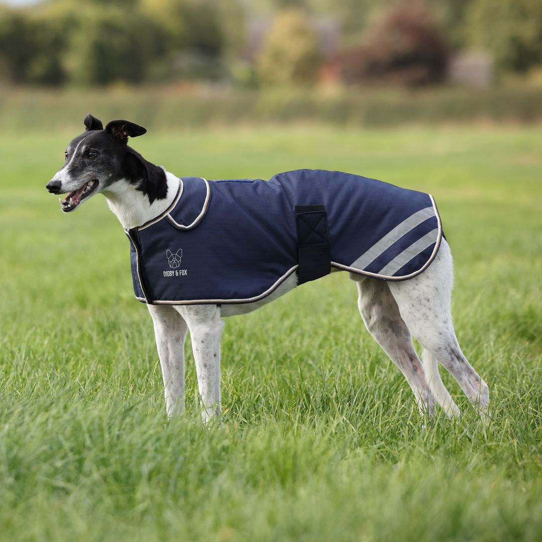 Picture of Digby & Fox Waterproof Greyhound Dog Coat, Insulated 200g fill, 8 Sizes, 2Colour