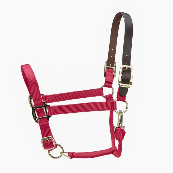 Picture of Shires ARMA Premium Adjustable FieldSafe Headcollar, 10 Colours, 4 Sizes
