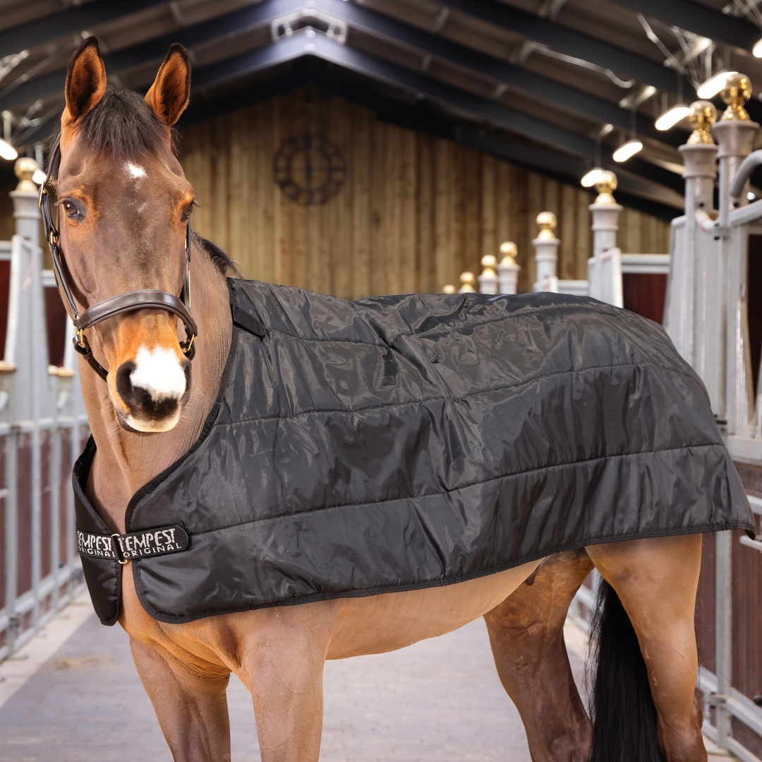 Picture of Shires Tempest Original WarmaRug 300g Turnout Rug Liner, Under Rug, Black