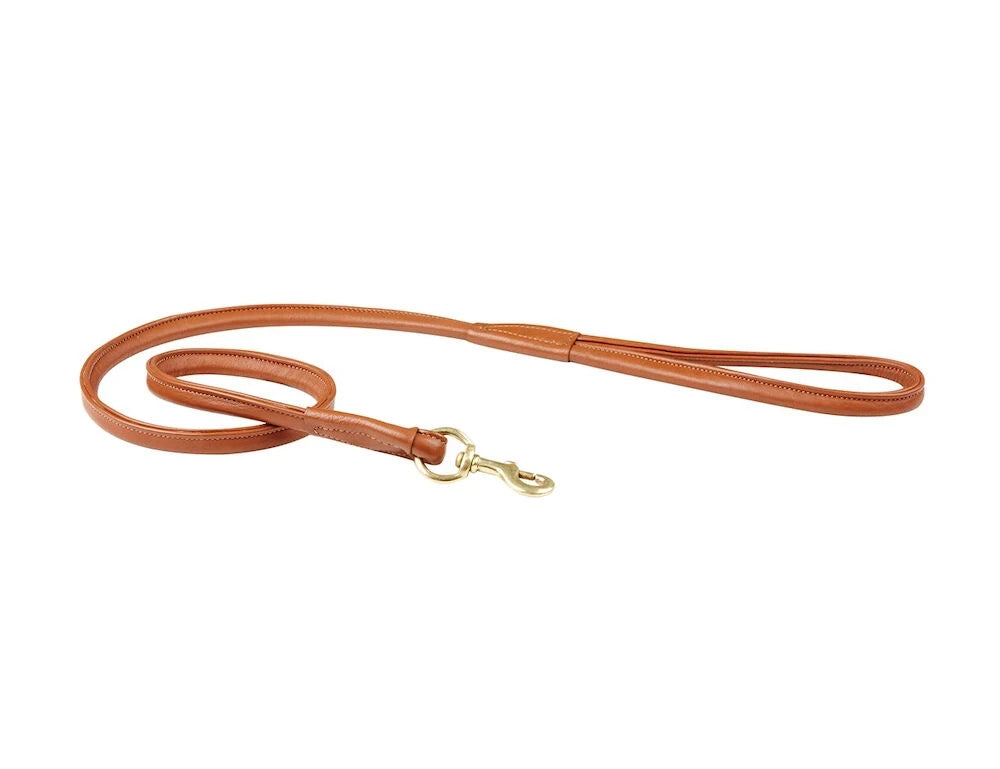 Picture of Weatherbeeta Rolled Leather Dog Lead, 5 Colours.