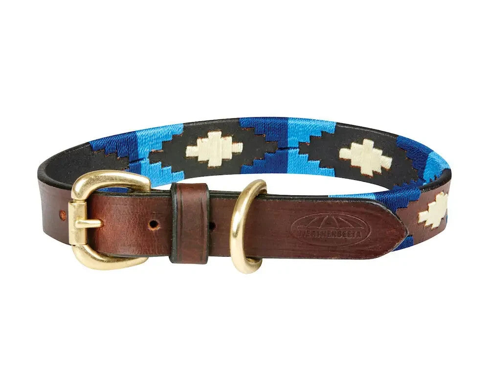 Picture of Weatherbeeta Polo Leather Dog Collar, 5 Colours, 6 Sizes