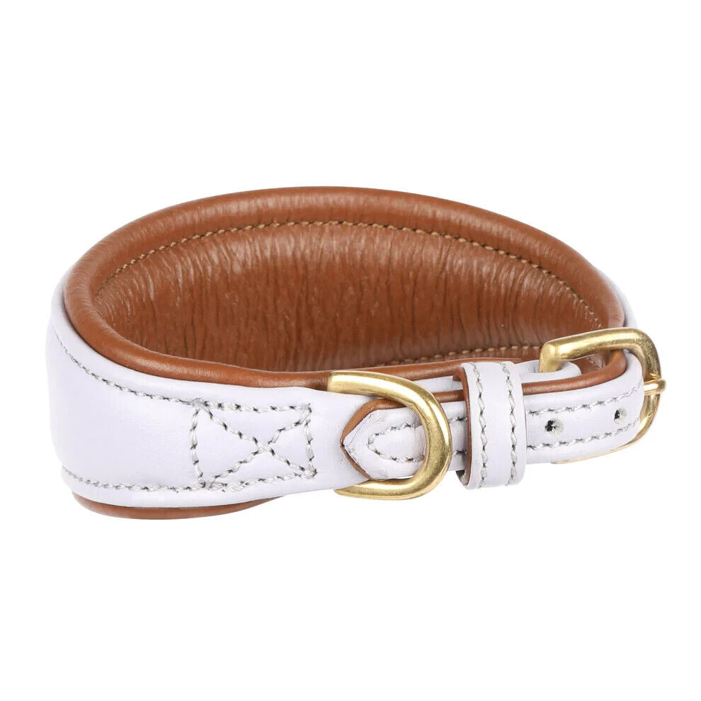 Picture of Shires Digby & Fox Padded Greyhound Leather Dog Collar, 4 Sizes, 6 Colours