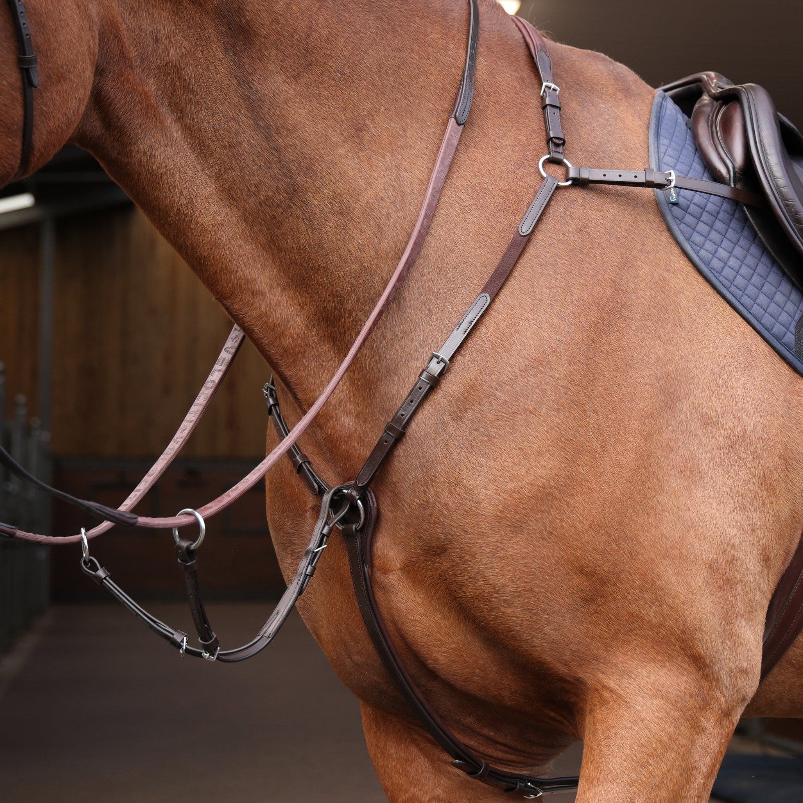 Picture of Shires Velociti Rapida Elastic Breastplate, Black, Havana, 4 Sizes,