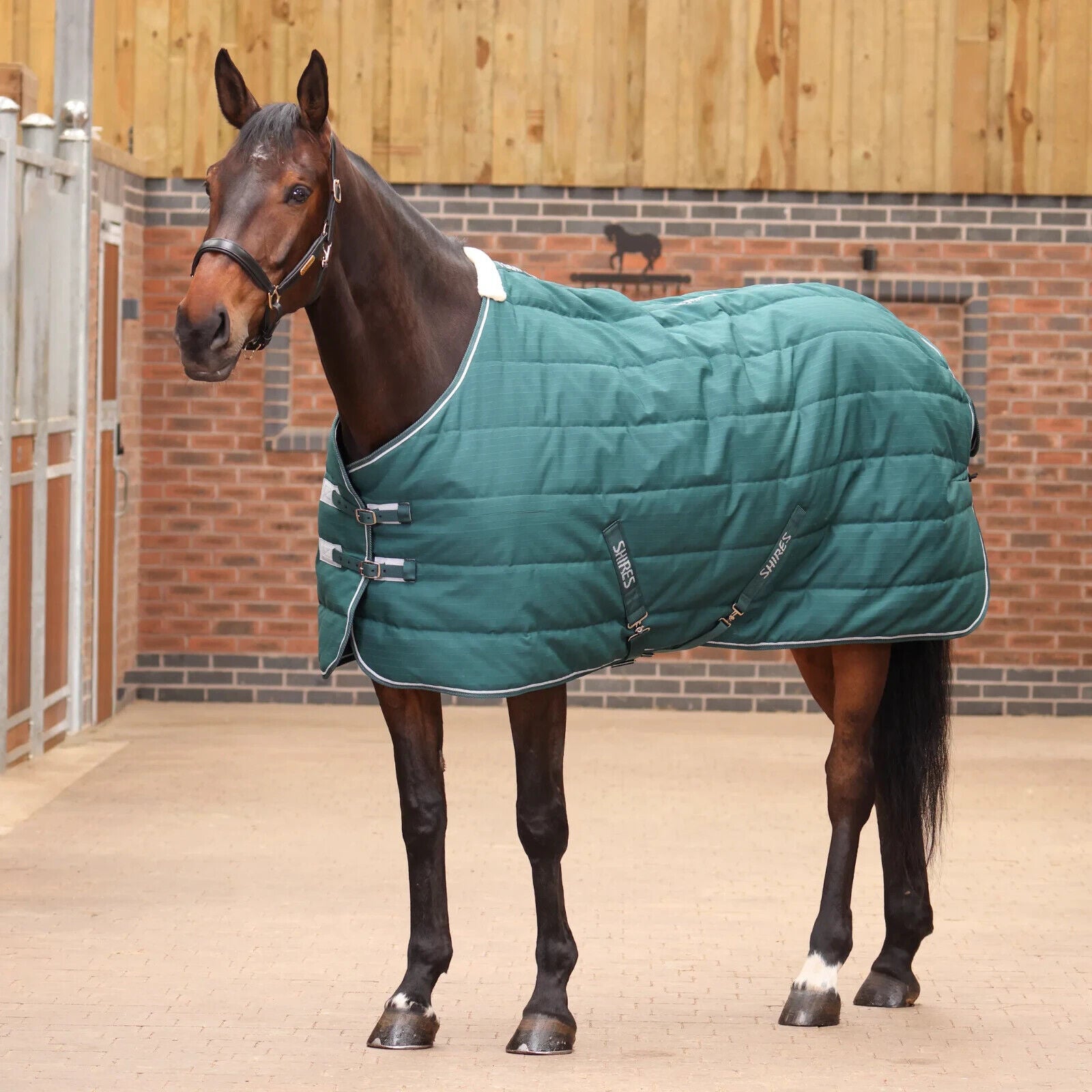 Picture of Shires Tempest Original 200G Lightweight Standard Neck Horse Stable Rug,4'0"-7'3