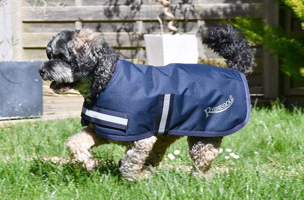 Picture of Rhinegold Waterproof Dog Coat, Outdoor, 12 Sizes,  2 Colours